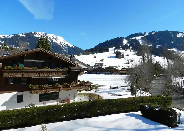 Apartamento La Sarine 222 By Interhome *